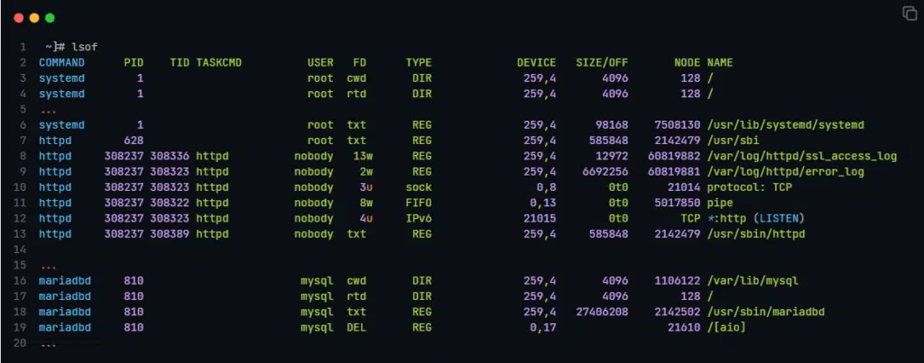 리눅스 lsof 명령어.