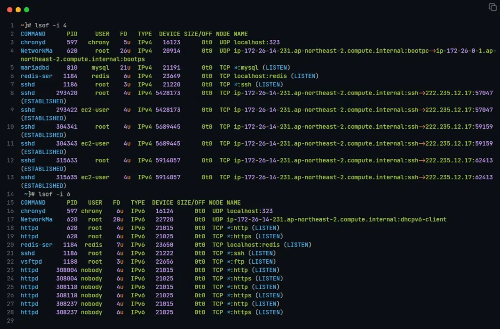 리눅스 lsof 명령어_IPv4 IPV6 네트워크 소캣 확인