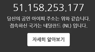 VPN 사용 IP 주소 설정 화면 - 네덜란드