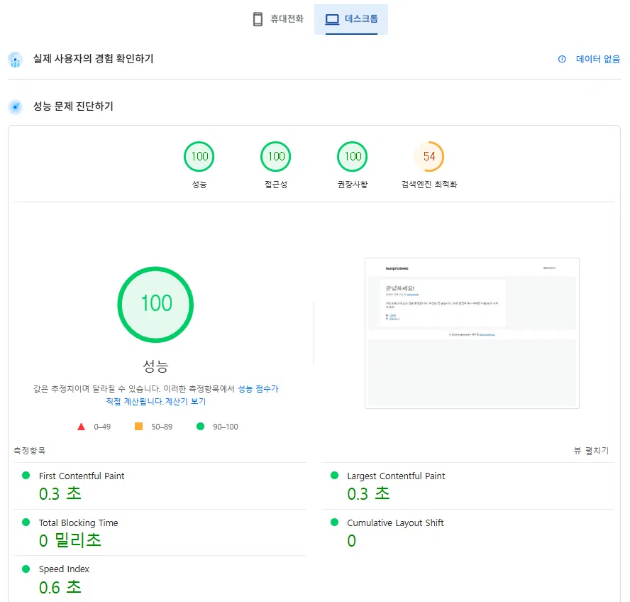 웹사이트 속도 측정 사이트 및 도구 TOP6 2 웹사이트 속도 측정-구글 페이지스피드(데스크탑_testpilotweb)