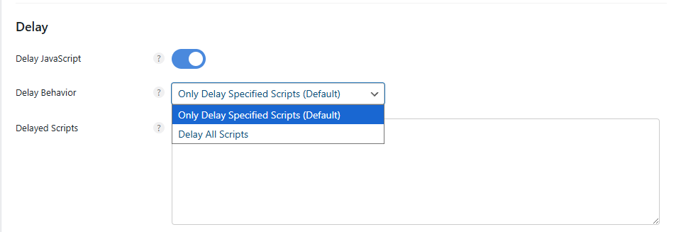Perfmatters Delay - 자바스크립트 실행 지연_특정 파일 또는 모두 실행 지연