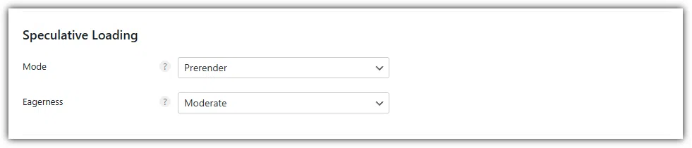Perfmatters 사전 로딩-추측 로딩 권장 설정