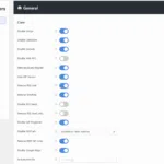 Perfmatters 일반 설정 탭-권장 설정 1Page