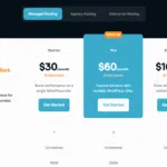 RocketNet 관리형 호스팅 1개월