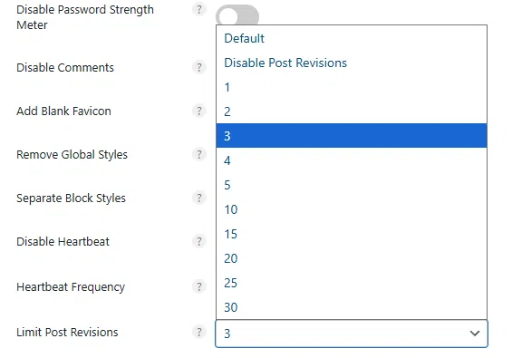 perfmatters Revisions 설정
