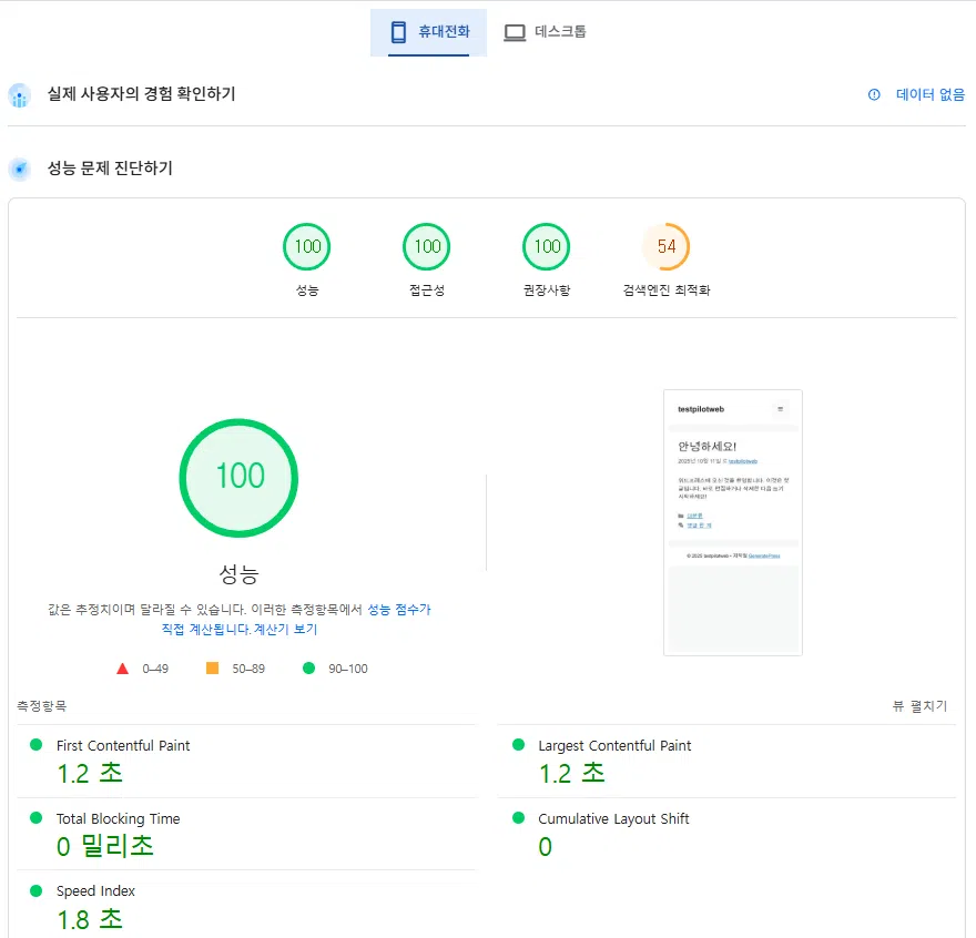 웹사이트 속도 측정-구글 페이지스피드(모바일_testpilotweb)