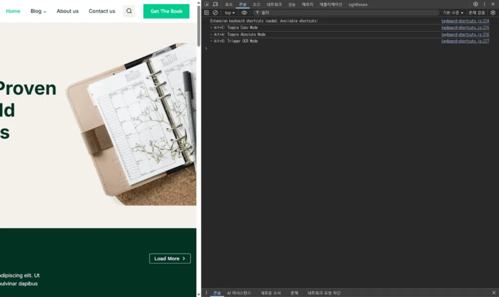 크롬 개발자도구 - 콘솔(Console)