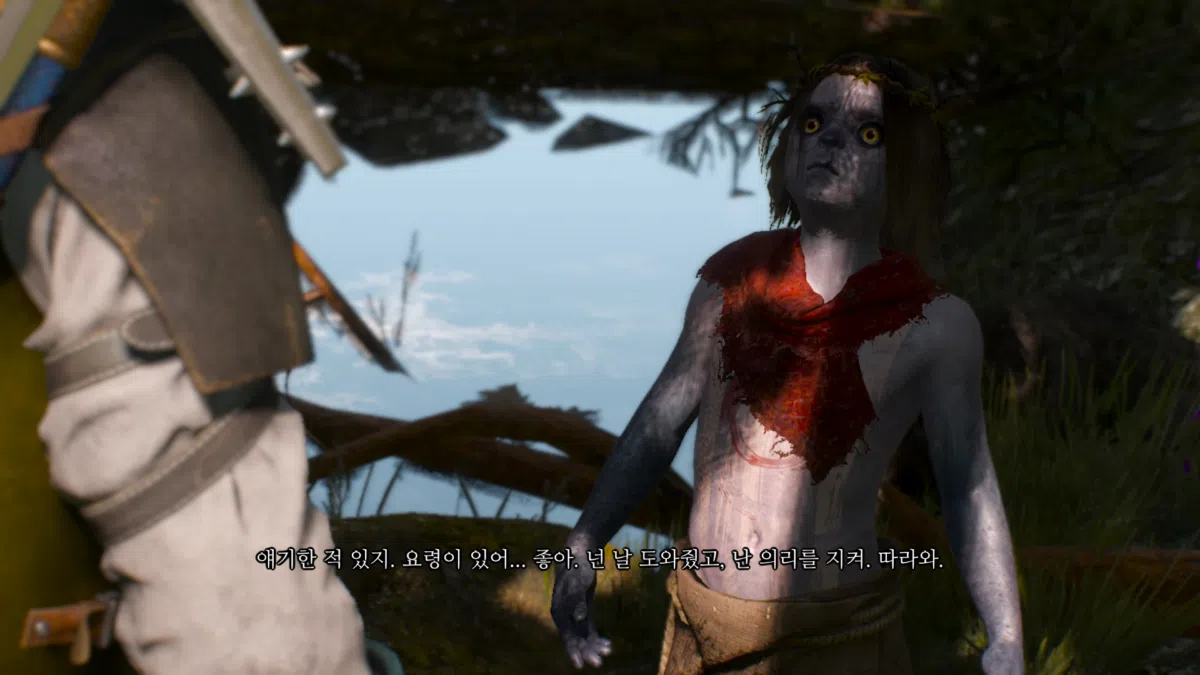 위쳐3 숲의 여인들 & 속삭이는 언덕 선택지 | 집안 문제 분기점 41 숲의 여인들 - 조의 목소리 찾기 7