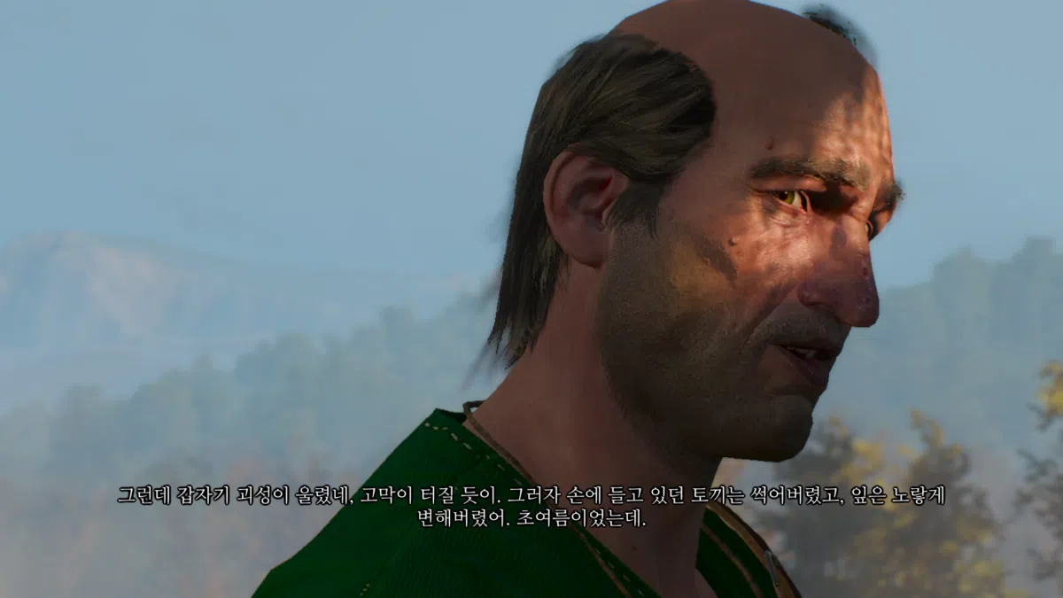 위쳐3 숲의 여인들 & 속삭이는 언덕 선택지 | 집안 문제 분기점 66 위쳐3 숲의 여인들 - 다운워렌 장로와의 대화 9